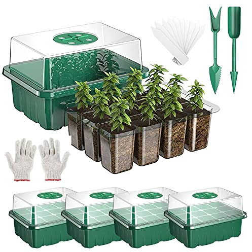 HENGBIRD Mini Serre pour Plantes, 5 Pièces 60 Cellules Intérieure Plateau Semis, Bac à semis, Plaque Semis avec couvercles rehaussés, Pépinière Boîte de Culture Durables,10 étiquettes, 3 Outils