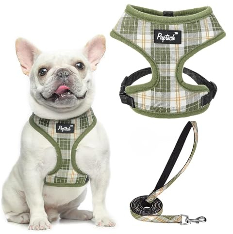 PUPTECK Dog Harness Small Dog Soft Mesh Pet Puppy Cat Comfort Padded Vest No Pull Harnesses and Leash Set | Escape Proof No Choke Pet Cat Adjustable Soft Padded Walking Vest