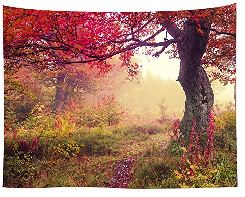 KABAKE Landschafts-Wandteppich, Herbstsaison, Herbst, Ahornbäume mit Morgenfrosch im nebeligen Wald, entspannende Kunst, Natur, Foto, Zuhause, Wandbehang, Wohnheim (Muster #6, 150.1x200.2 cm)