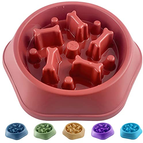 CAISHOW Slow Feeder Dog Bowl Slow Food Feeding Pet Bowl Slow Eating Healthy Design for Small Medium Size Dogs