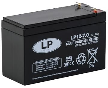 LP Batterie au Plomb AGM 12 V 7 Ah T1 VDS F1/T1 Sécurité