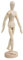 VOANZO Gliederpuppe, 20,3 cm große Holzpuppe für Künstler, perfekt für Heimdekoration/Zeichnen der menschlichen Figur