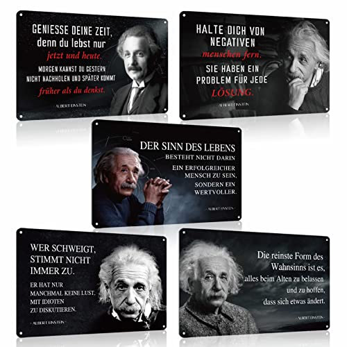 5er Set Blechschilder Albert Einstein Sprüche Retro Schild Spruch Wanddeko Geschenk 20x30cm
