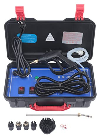 Pulitore a vapore portatile ad alta pressione, 3000 W, due modalità di pulizia 220 V, 5 bar, per pulizia a vapore auto, 100 – 130 °C, utilizzato per cappe, condizionatori, frigoriferi, auto