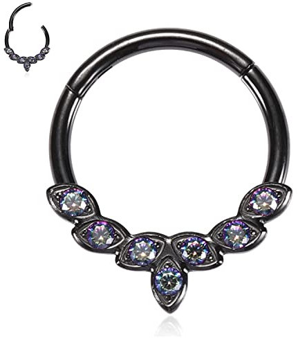 AROWRO 316L Schwarz Septum Schmuck 16G Septum Ringe Daith Schmuck 16G Conch Piercing Schmuck Higend Segment Nase Hoops Septum Hoop Clicker Ringe Rook Helix Tragus Knorpel Lobe Ohrringe 10mm