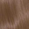 COLOR.IT by BM - Permanente Haarfarbe in Salonqualität, 100ml (8.31 Hellblond Gold Asch, 1er Pack)