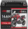 LANGZEIT YTX14L-BS Motorradbatterie 12V 14Ah 225A/EN HVT-03 GEL Batterie 12V 51216 HVT-3 doppelte Lebensdauer vorgeladen auslaufsicher wartungsfrei