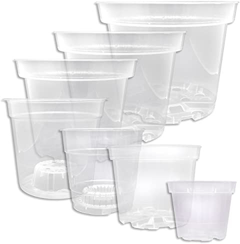 Wohnkult Orchideentopf transparent (Ø11,5x11cm)