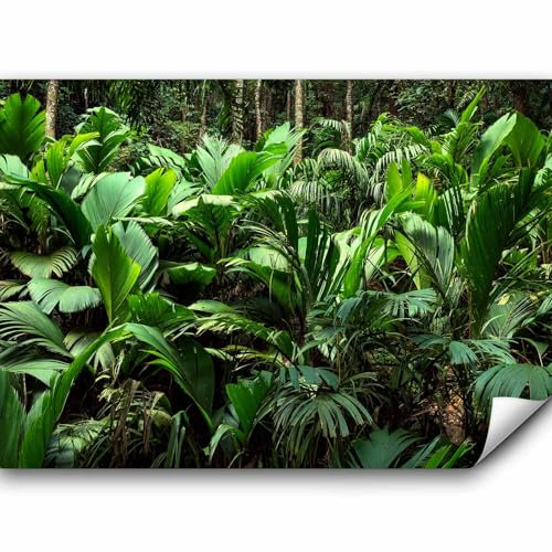 murando - Papier Peint Panoramique Adhésif Nature 245x175 cm - Murale Autocollante Décoration - Vert turquoise - Feuilles tropicales forêt plantes nature photographie jungle b-B-0594-a-a