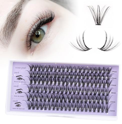 DIY Wimpern Extensions 120 Pcs Einzelne Wimpern DIY Individuelle Falsche Wimpern für Anfänger Wiederverwendbar Wimpernbüschel Einzelwimpern Wimpern Einzeln 10-16mm C/CC/D Curl - 30D