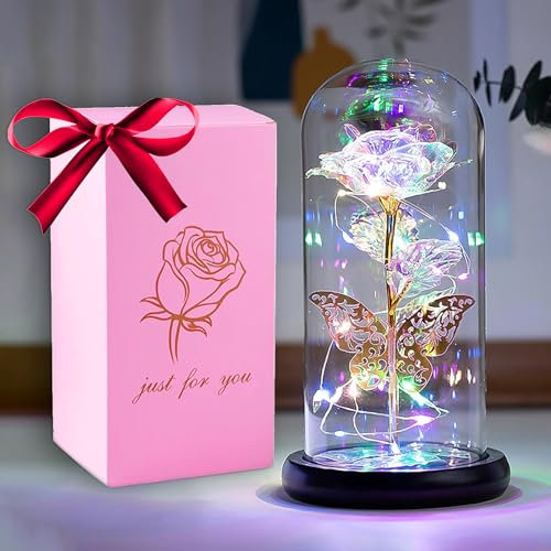 HFHungkeong Muttertag Rosen Geschenk Galaxie ewige Rose für Mutter, Ehefrau, Freundin Jahrestag Geburtstag Geschenk Glaskuppel Regenbogen Rose LED Lichtleiste Schmetterling Kristallblume Rose