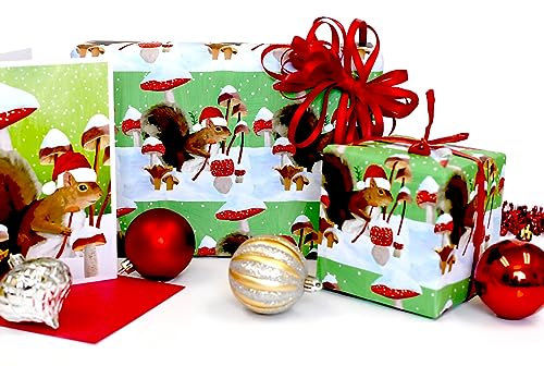Allport Editions Geschenkpapier, Motiv: Pilz, Eichhörnchen, wendbar, für Urlaub, Öko
