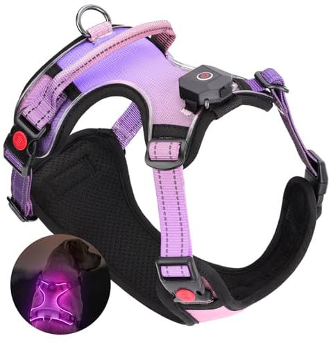 DAISTERN von BSWAY LED Hundegeschirr Größe XL mit Griff, Aufladbares Leuchtendes Hundegeschirr, Brustgeschirre Hunde mit 3 Blinkmodi, Reflektierende Streifen für kleine und Mittelgroße Hunde