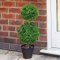 Garden Mile® Green Topiary Tree Artificial Plantation Garden Plants and Pots Artistic Round Ball Cut Garden Bush for Doorway Front Porch Decking (Duo Ball)