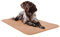 KAHU Haus- und Heimtierdecke • Super Softe Warme und Weiche Decke für Haustier • Hundedecke • Fleece Decke/Tier • Schlafdeck Überwurf für Hundebett Sofa und Couch • 70 x 100 cm • Braun