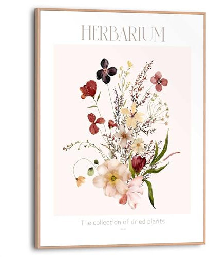 REINDERS Gerahmtes Bild, Herbarium, Wohnzimmer, Poster, Wanddeko, Room Decor, MDF, Mehrfarbig, 40x30cm