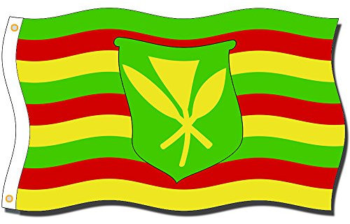 Home King Hawaii Kanaka Maoli Drapeaux 100 % polyester Tête en toile avec œillets en métal