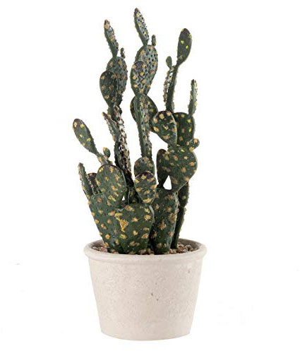 L'Oca Nera Fico d'india Piccolo