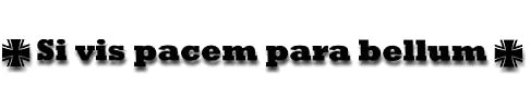 Aufkleber SI vis Pacem para Bellum Kennzeichen Nummernschild 26x1,4 cm A4973