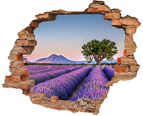 Wandtattoo - Wanddurchbruch mit Aussicht Lavendelfeld 90 x 74 cm (BxH) - Wandsticker