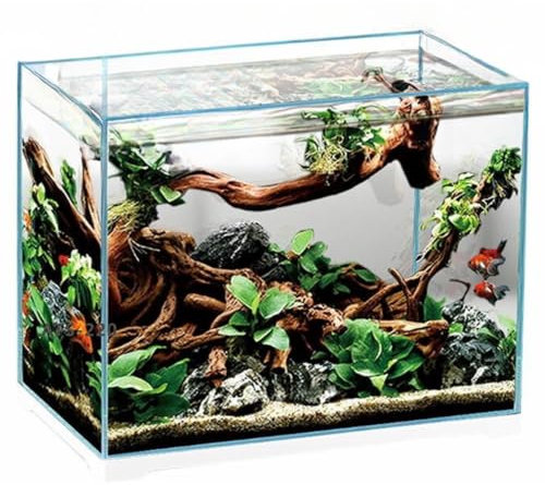 Aquariumline - Acuario abierto de cristal extraclaro, 55 l, 60,6 x 32,6 x 34 cm