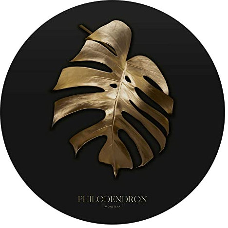 REINDERS Glasbild, Monstera in Gold, Wohnzimmer, Poster, Wanddeko, Glasbilder, Glas, Schwarz, Ø 70cm