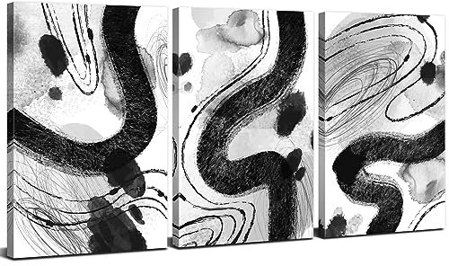 AREBOLO Lot de toiles murales abstraites noires et blanches – Peintures à l'encre fluide marbrée – Œuvre d'art moderne encadrée pour décoration d'intérieur (40,6 x 30,5 cm)