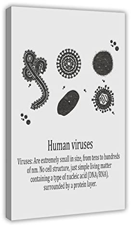 Medizinisches Poster auf Leinwand, Motiv: menschliche Viren, Wandkunst, Dekordruck, Bild, Gemälde für Wohnzimmer, Schlafzimmer, Dekoration, Rahmen: 60 x 90 cm