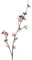 Künstlicher Kirschblütenzweig 70cm - Kunstzweig Kirschblüte - Kirschzweige Blütenzweig Dekozweige - Kunstblumen Deko Zweig - Hochzeitsdeko Frühlingsdeko Osterdeko - Rosa