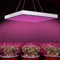 Lospitch Pflanzenlampe led vollspektrum,LED Grow Lampe,Dimmbar Pflanzenlicht,Pflanzenleuchte mit Rot Blau Licht Vollspektrum,pflanzenlampe für zimmerpflanzen Hydroponic (15W)