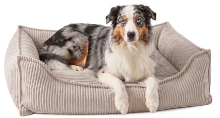 4L Textil Kuscheliges Hundebett aus Cord Hugo Premium-LINE Hundekorb orthopädisch Hundekissen flauschig Hundebett mit Bezug Memory Foam Hundesofa (Beige, 100x80 cm)