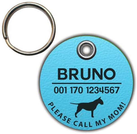 Dog Tag/HUNDEMARKE - aus Biothane - türkis - v2 (Hund) - rund - Ø 3,4 cm