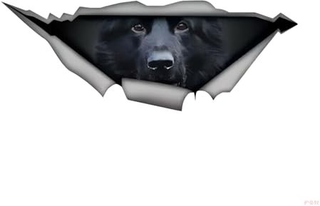 Car Stickers 18Cm Deutscher Schäferhund Autoaufkleber German Shepherd Aufkleber Haustier Hund Zerrissenes Aufkleber Reflektierende Wasserfester Auto Aufkleber Auto Stoßstange Kofferraum Dekor D014#