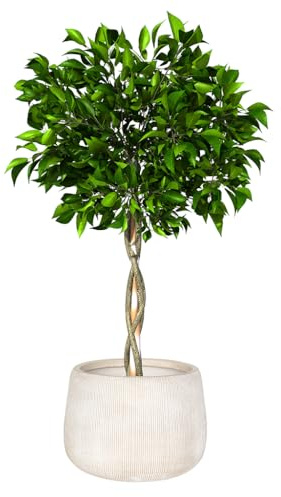 Dibor Fibre Clay Plant Pots 42cm Indoor/Outdoor Modern Rippled Finish Flower Pot Planters Patio Decking Lawn Doorstep Porch Houseplant Shrub Topiary Bush Plant Pot Clay Planters (White, Medium 30L)