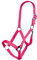 HKM 27868045.0758 Halfter -Stars Economy Softice- Shetty, Neon pink
