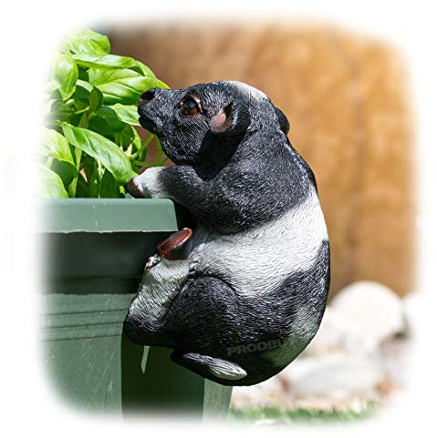 ProdBuy Home Blumentopf zum Aufhängen, Kuh, Schwarz / Weiß