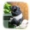 ProdBuy Home Blumentopf zum Aufhängen, Kuh, Schwarz / Weiß
