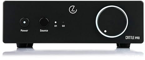 LEAUDIO Cattle PRO Hochleistungs-Leistungsverstärker der Klasse D, zwei Cinch-Eingänge, 2.1-Subwoofer TPA3255