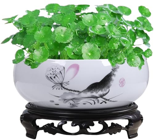 Muzrunq Lotus -Pflanzer mit Basi