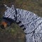 Waldhausen Fliegenhalsdecke Zebra, Pony