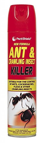 Fly & Wasp Killer Spray - 300ml