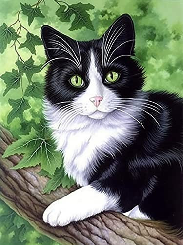 VAIIEYO DIY 5D Diamond Painting Katze, Diamant Painting Bilder Malerei Kits Tier, Malen Nach Zahlen Diamant Home Wand Decor Gemälde Kreuzstich Diamond Dekoration 30x40 cm