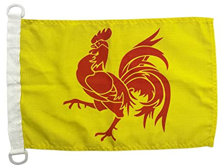 Stormflag Drapeaux Wallonie 30x45cm Drapeau du navire Polyester tissé plat 150g/m2 avec D Crochet