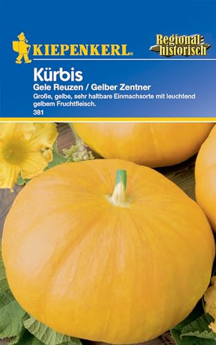 Kiepenkerl Kürbissamen Gele Reuzen/Gelber Zentner 381 - Große, gelbe, sehr haltbare Einmachsorte mit leuchtend gelbem Fruchtfleisch - Gemüsesamen, Saatgut