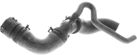 VAICO V10-3915 Kühlerschlauch