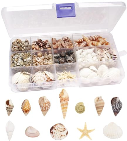 Veehaolu 525 Pcs Mixed Sea Shells and Starfish Beach Seashells for Ocean Theme Party Wedding Decor, DIY Crafts Candle Making, Fish Tank Vase Fillers, Home Decor Supplies