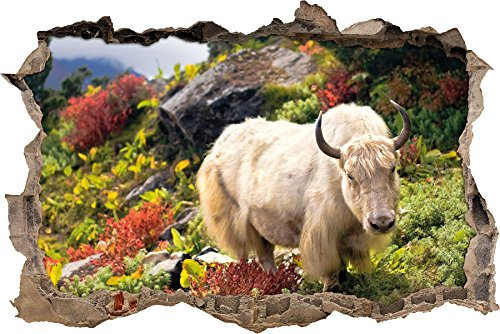 Stil.Zeit Schönes Yak Himalaya Wanddurchbruch im 3D-Look, Wand- oder Türaufkleber Format: 92x62cm, Wandsticker, Wandtattoo, Wanddekoration