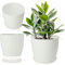 KADAX Flowerpot, fioriera con sottobicchieri, secchio di fiori rotondi in plastica, pentola Matt per cactus, felci, trama luccicante per balcone, appartamento e terrazza (⌀ 25 cm, bianco)