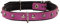 Corspet™ Echtes Leder Hundehalsband, Nieten Halsband Hund, Handgefertigt in der EU, weich gepolstert doppelseitig verstellbares Halsband | Hunde Halsbänder für Welpen & kleine Hunde [31-38 cm] Rosa