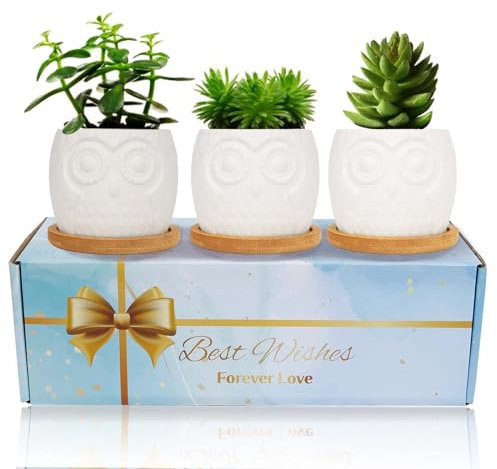 LOOPES Owl Succulent Plant Pot Gifts for Women Set of 3,DIY Colouring Owl Bonsai Pots Ceramic Flower Planter Plant Pot with Drainage and Bamboo Tray Home and Office Christmas Decor Desktop Windowsill